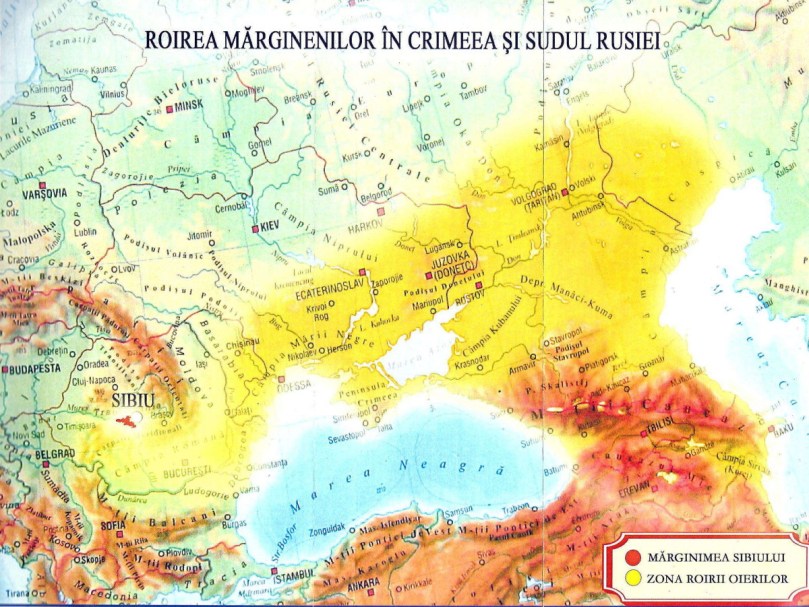 13570_2013_Article_86_Fig2_HTML