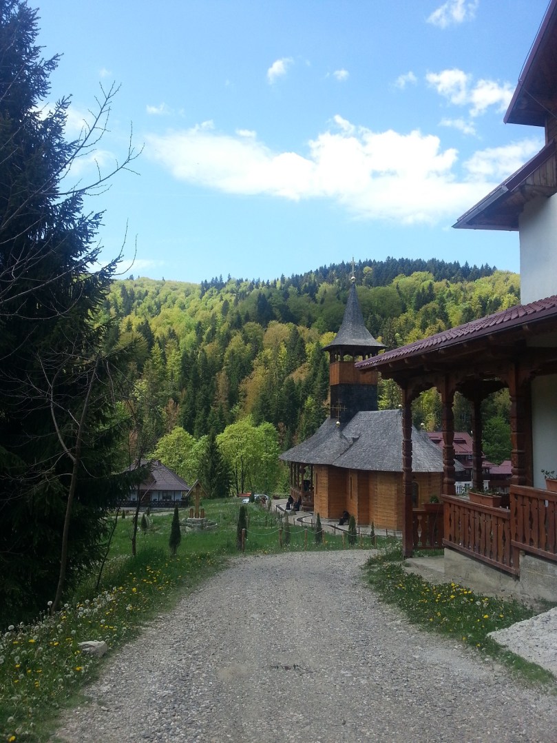 20170519_115611 - b.jpg