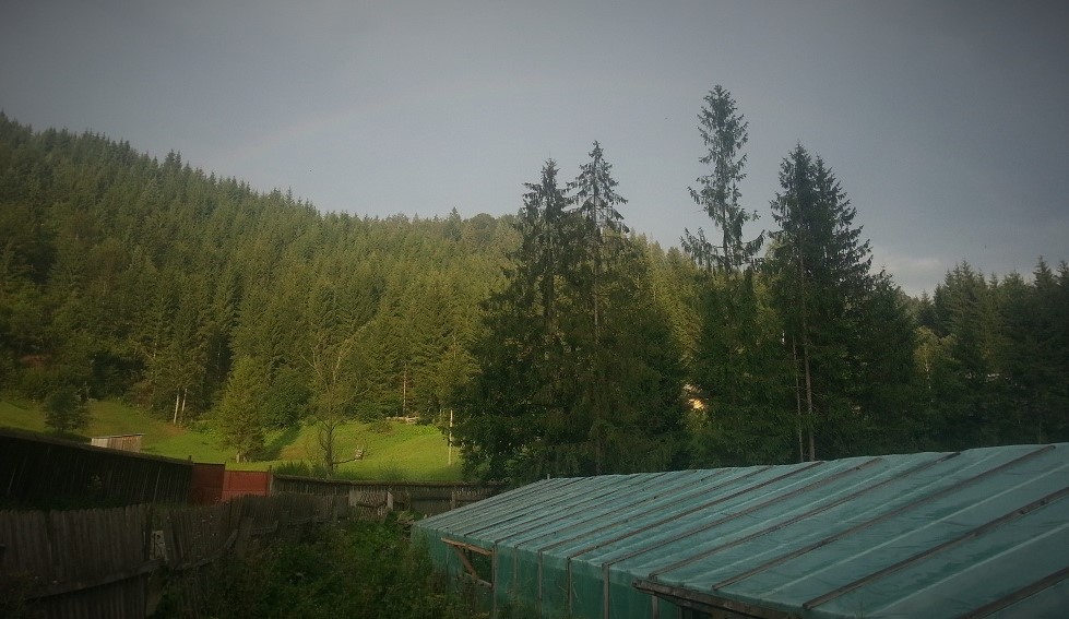 20170805_191450 b.jpg