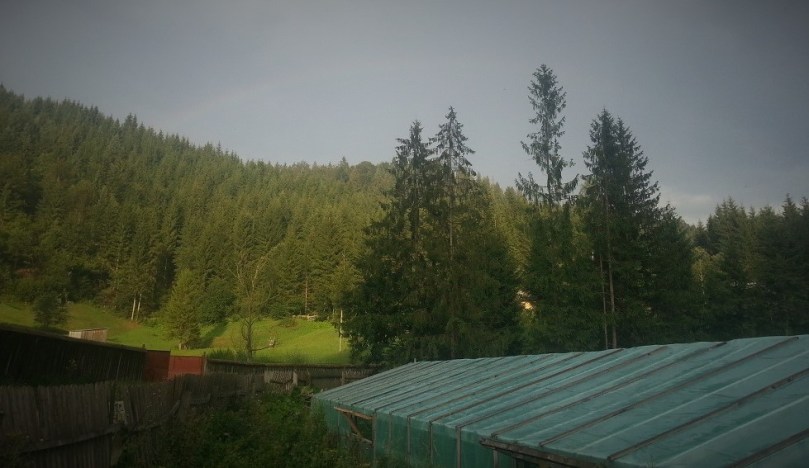 20170805_191450 b.jpg