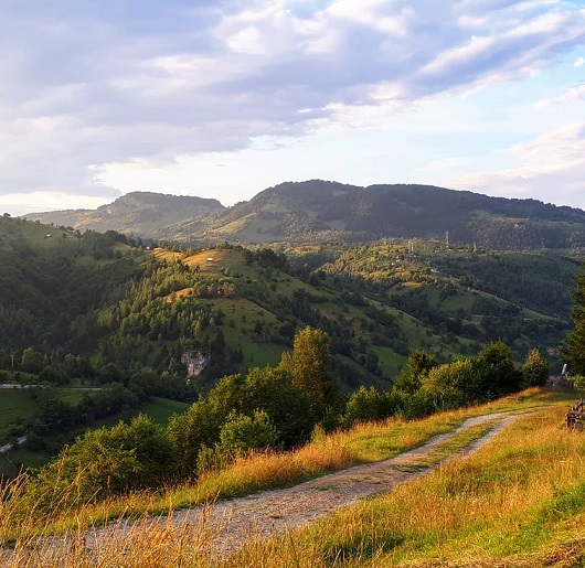 IMG_20171117_092344_374 mic